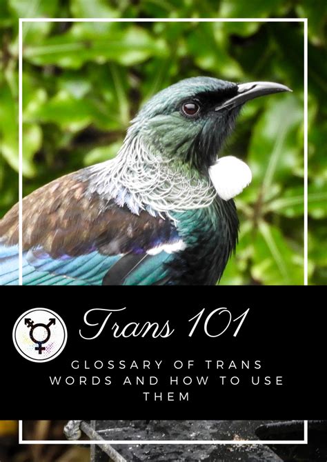 Trans 101: glossary of trans words and how to use them